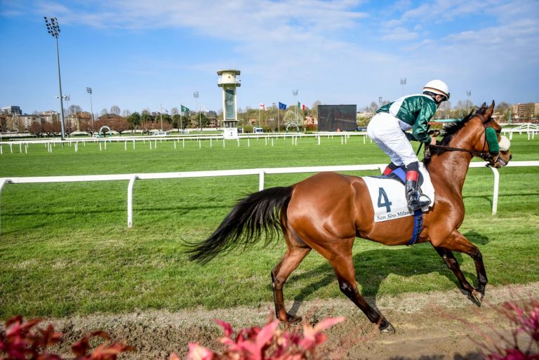 Ippica, corsa cavalli, betflag