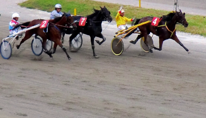 Gran Premio Orlandi