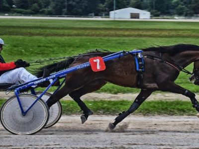 Ippica Trotto al Gran Premio Locatelli