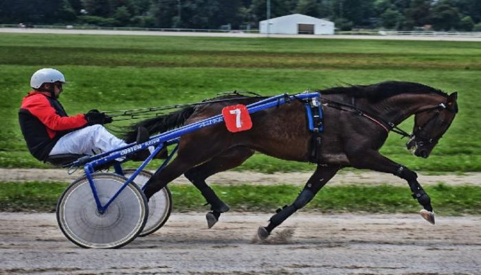 Ippica Trotto al Gran Premio Locatelli