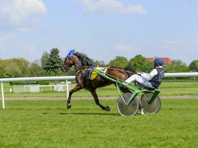 Gran Premio Firenze