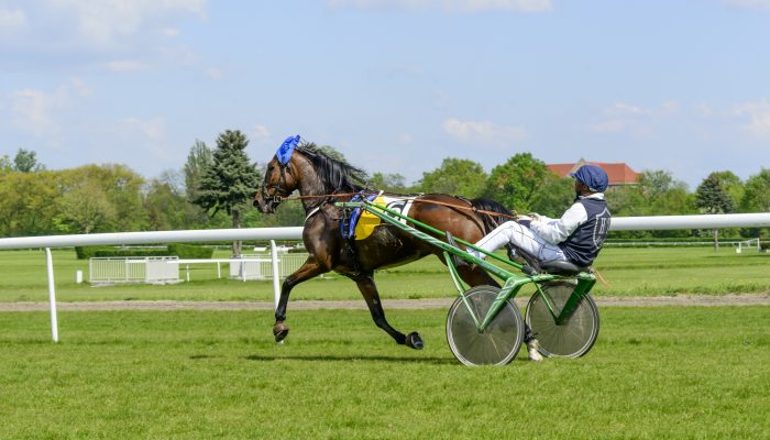 Gran Premio Firenze