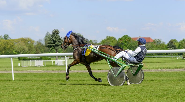 Gran Premio Firenze