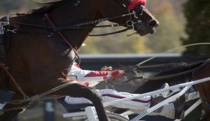 Anteprima Gran Premio Etruria a Firenze