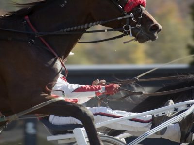 Anteprima Gran Premio Etruria a Firenze