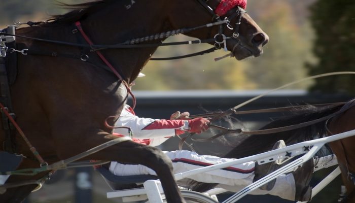 Anteprima Gran Premio Etruria a Firenze