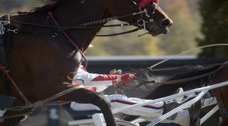 Anteprima Gran Premio Etruria a Firenze