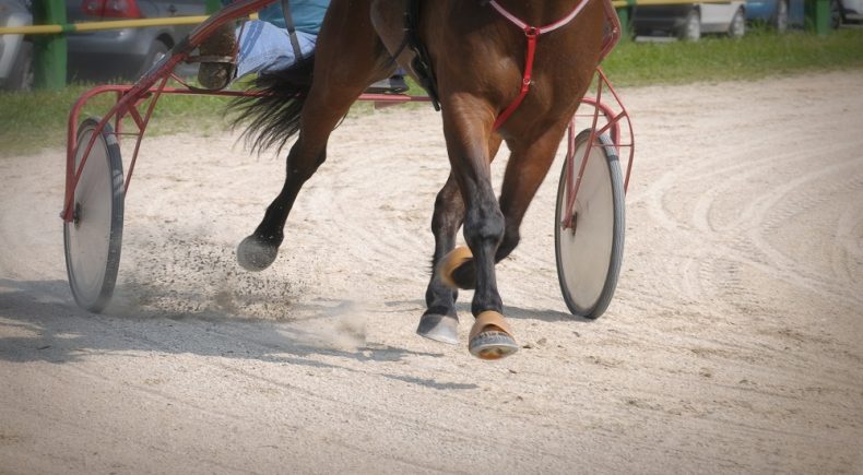 Gran Premio Jegher