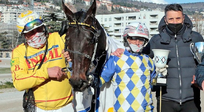 La storia del cavallo Arazi Boko