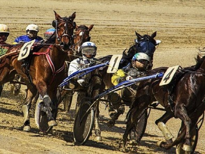 Stagione Aprile-Giugno delle corse cavalli trotto