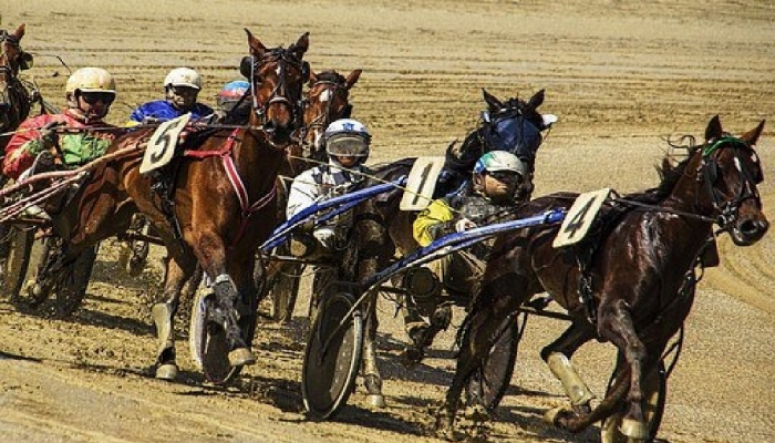 Stagione Aprile-Giugno delle corse cavalli trotto