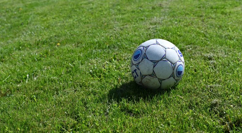 Pallone da Calcio con ombra su erbetta