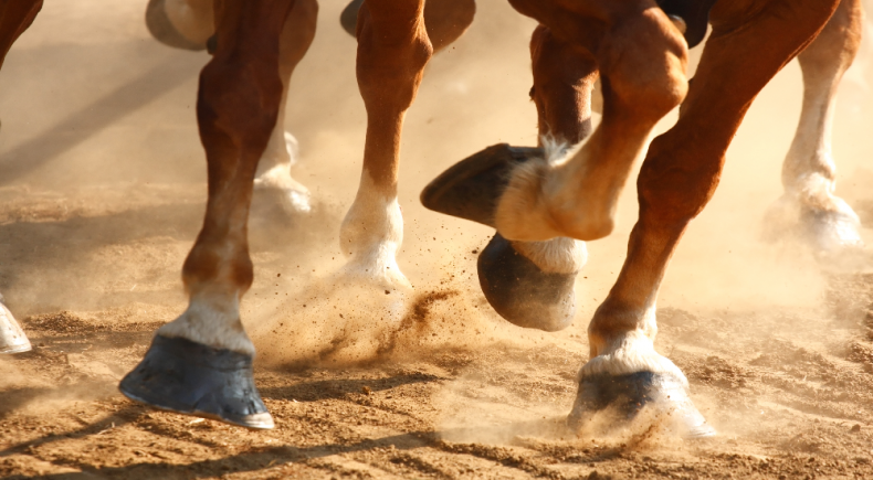 Premio Torricola, all’ippodromo Capannelle