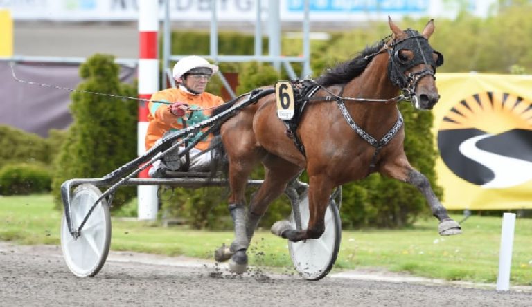Billie de Montfort all'ippodromo di Vinovo vince il Gran Premio Costa Azzurra