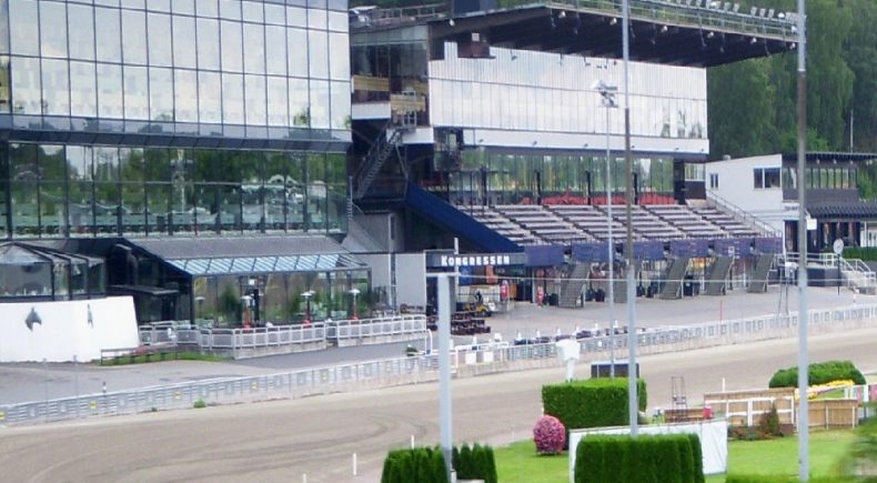 ECURIE D: il cavallo da battere domenica 30 maggio all'Elitloppet di Solvalla