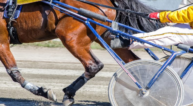 Gran premio nastro d'oro