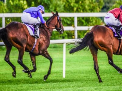 Gli eventi di Maggio 2021 a Leopardstown in Irlanda