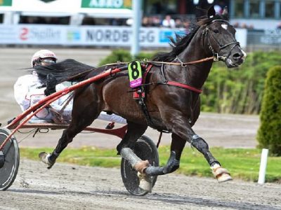 Gabriele Gelormini tra i migliori driver italiani