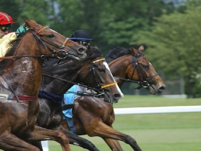 Corse di galoppo imperniata sugli handicap