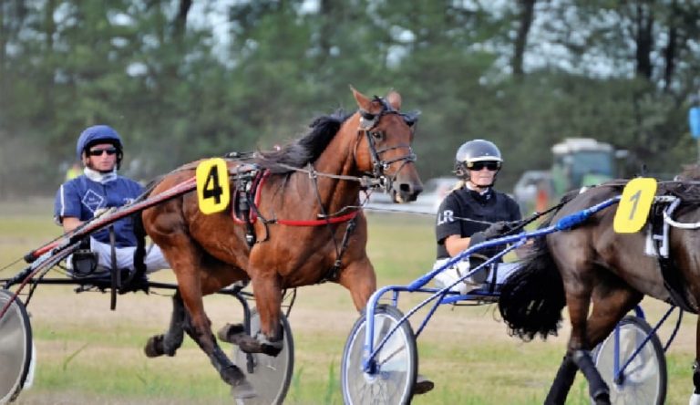 Guidatori Ippica Antonio Di Nardo ed Alessandro Gocciadoro