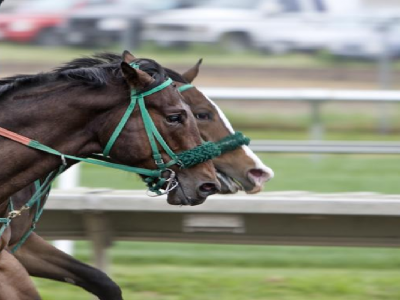 Derby inglese galoppo ad Epsom