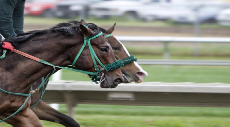 Derby inglese galoppo ad Epsom