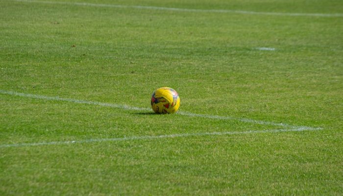 Pallone da Calcio Euro 2020