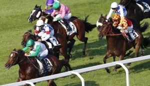 Cavalli in Gara al Gran Premio di Milano