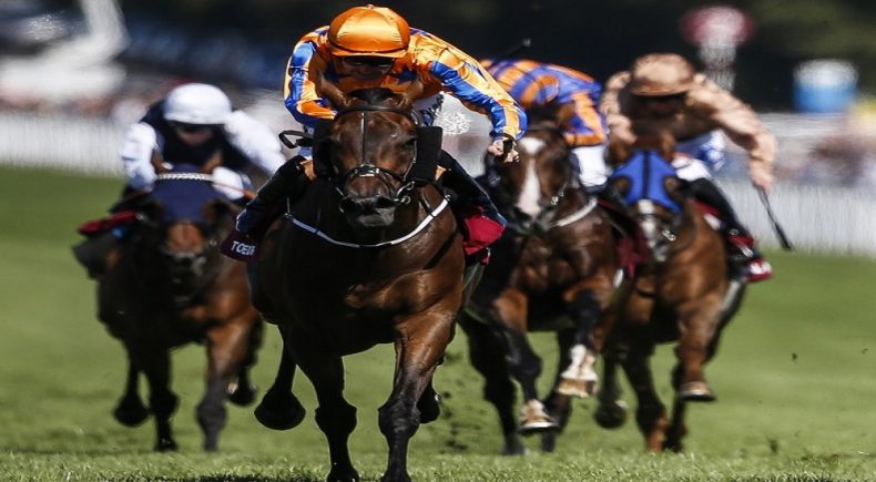 Goodwood Cup: in anteprima le quote antepost BetFlag