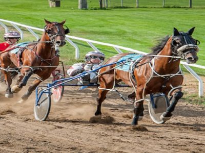 Gran Premio Abruzzo all'ippodromo di San Giovanni Teatino