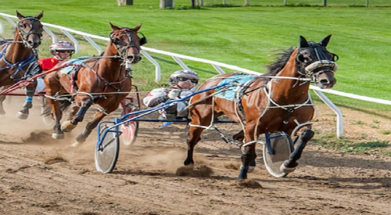 Gran Premio Abruzzo all'ippodromo di San Giovanni Teatino