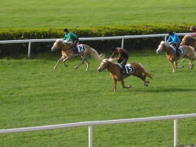 Analisi dei campioni dell'82° Gran premio di Merano