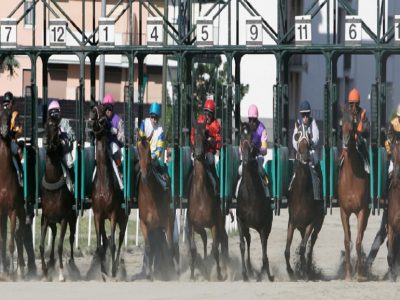 Galoppo: Varese ippodromo Le Bettole