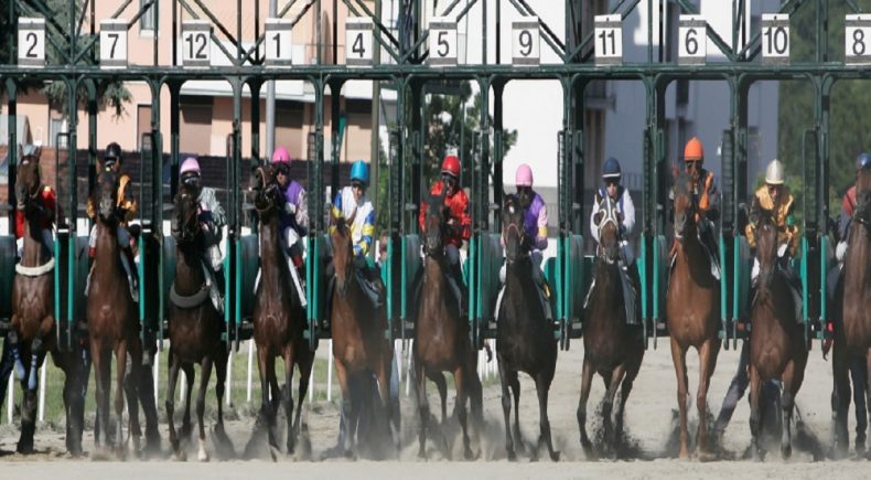 Galoppo: Varese ippodromo Le Bettole