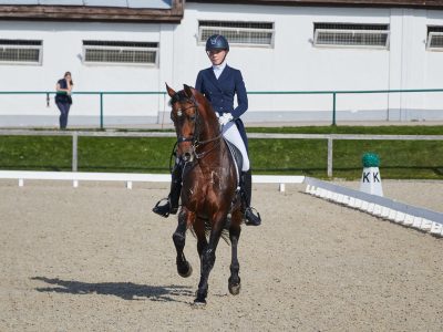 Come vengono addestrati i cavalli da corsa