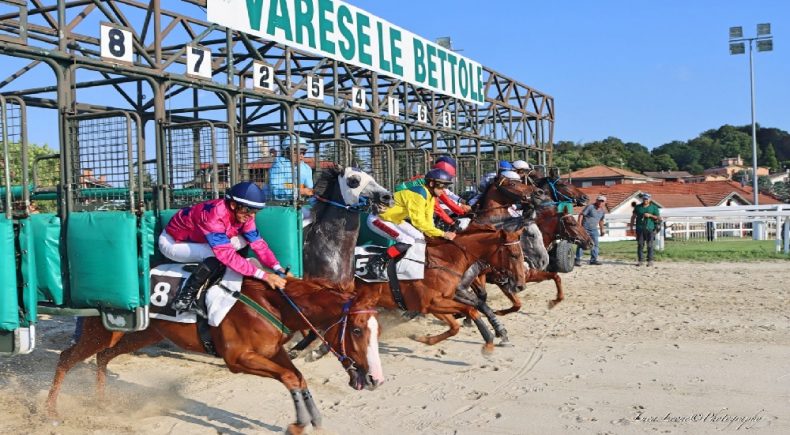 5 Corse all'ippodromo di Varese