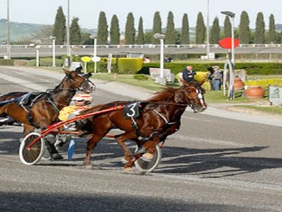 Ippodromo di Montegiorgio: Gran premio Marche