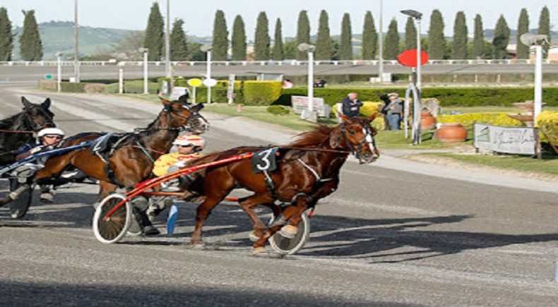 Ippodromo di Montegiorgio: Gran premio Marche