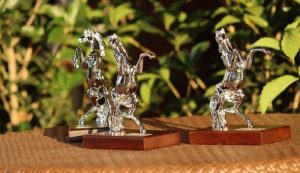 Gran Premio città di Varese