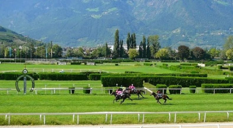 6 corse all'ippodromo di Merano