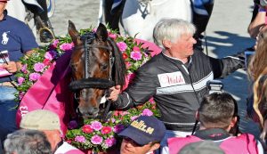 I grandi successi di Jerry Riordan