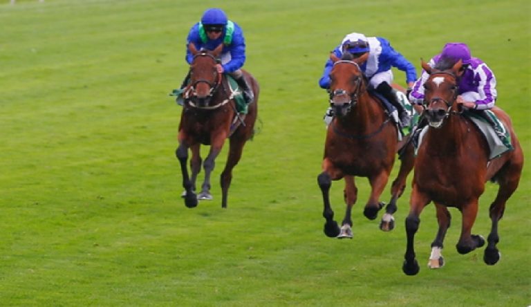 Glorious Meeting di York: Juddmonte International Stakes