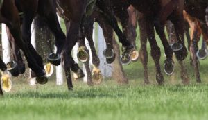 op races sul tracciato di Goodwood 28 agosto