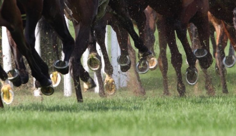 op races sul tracciato di Goodwood 28 agosto