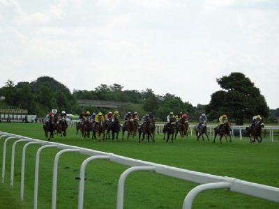 Gara Ippica Ebor Meeting a Nunthorpe Stakes