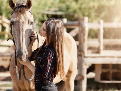 Quanto costa mantenere un cavallo