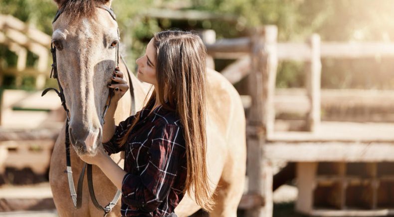 Quanto costa mantenere un cavallo