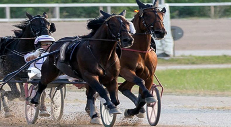 Gran Premio Città di Treviso