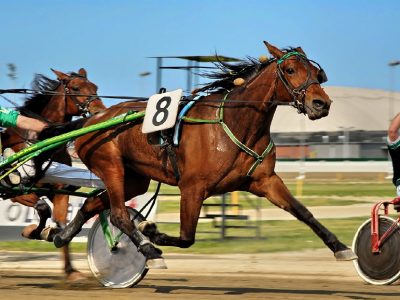 Gran Premio Marangoni