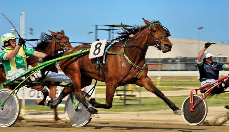 Gran Premio Marangoni